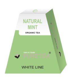 Pure Tea Natural Mint White Line 36 stuks