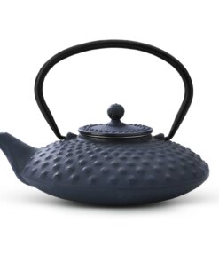 Bredemeijer Theepot Xilin 0.8 L gietijzer blauw