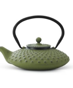 Bredemeijer Theepot Xilin 0.8 L gietijzer groen