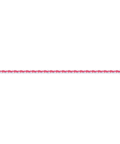 Strawberry - Sunleaf - 24 x 25 theezakjes